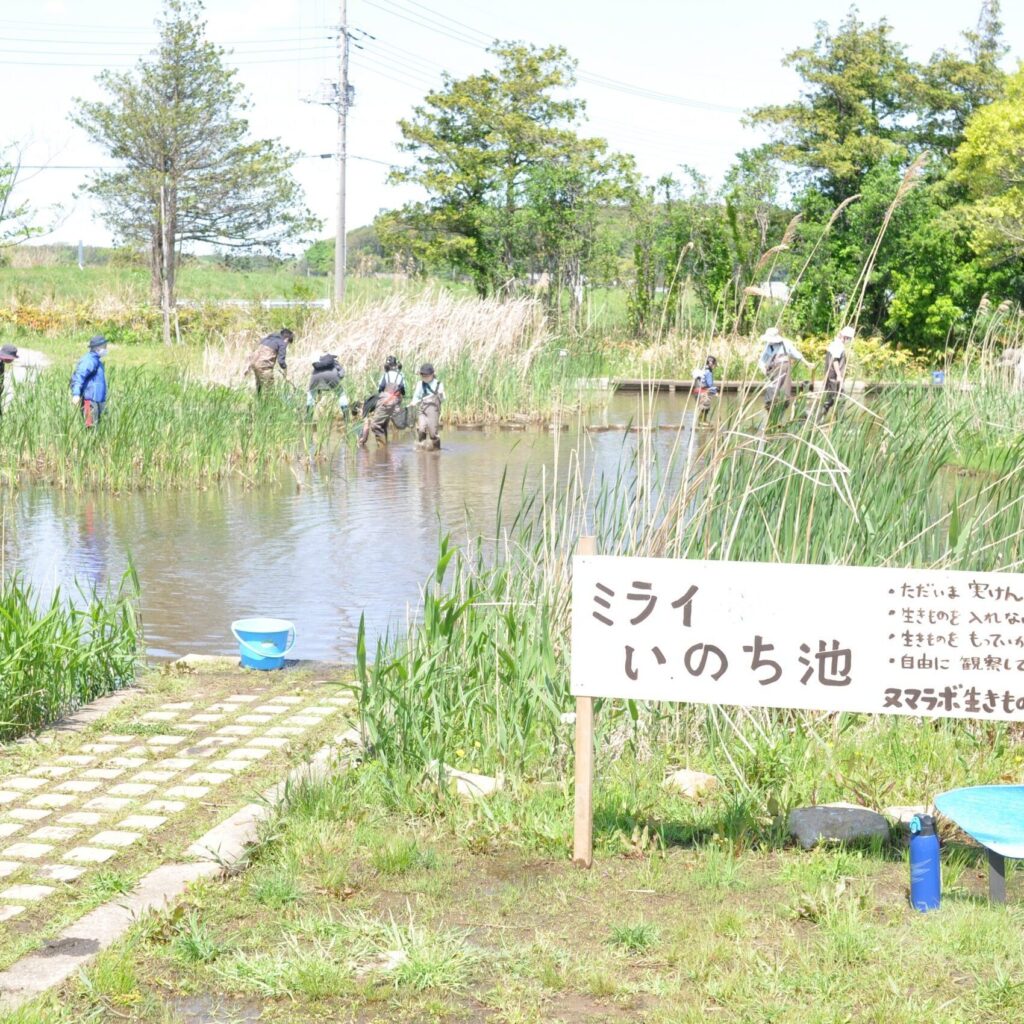 ミライいのち池