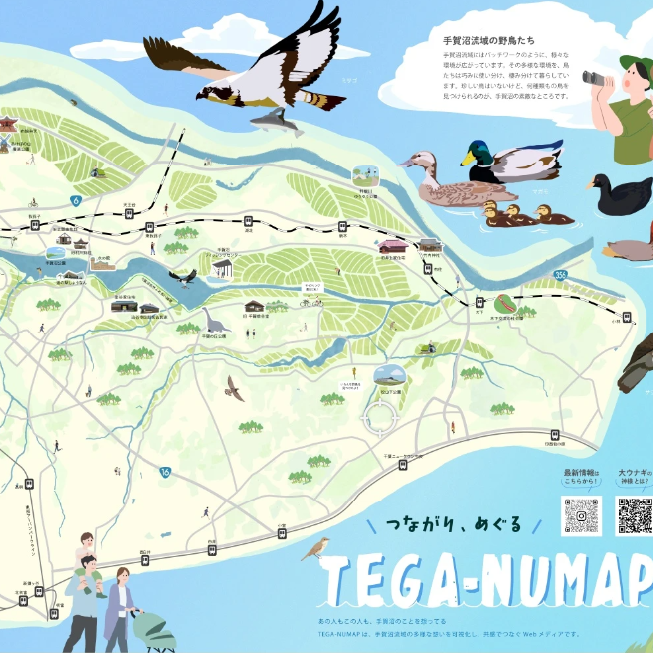 TEGA-NUMAP展写真